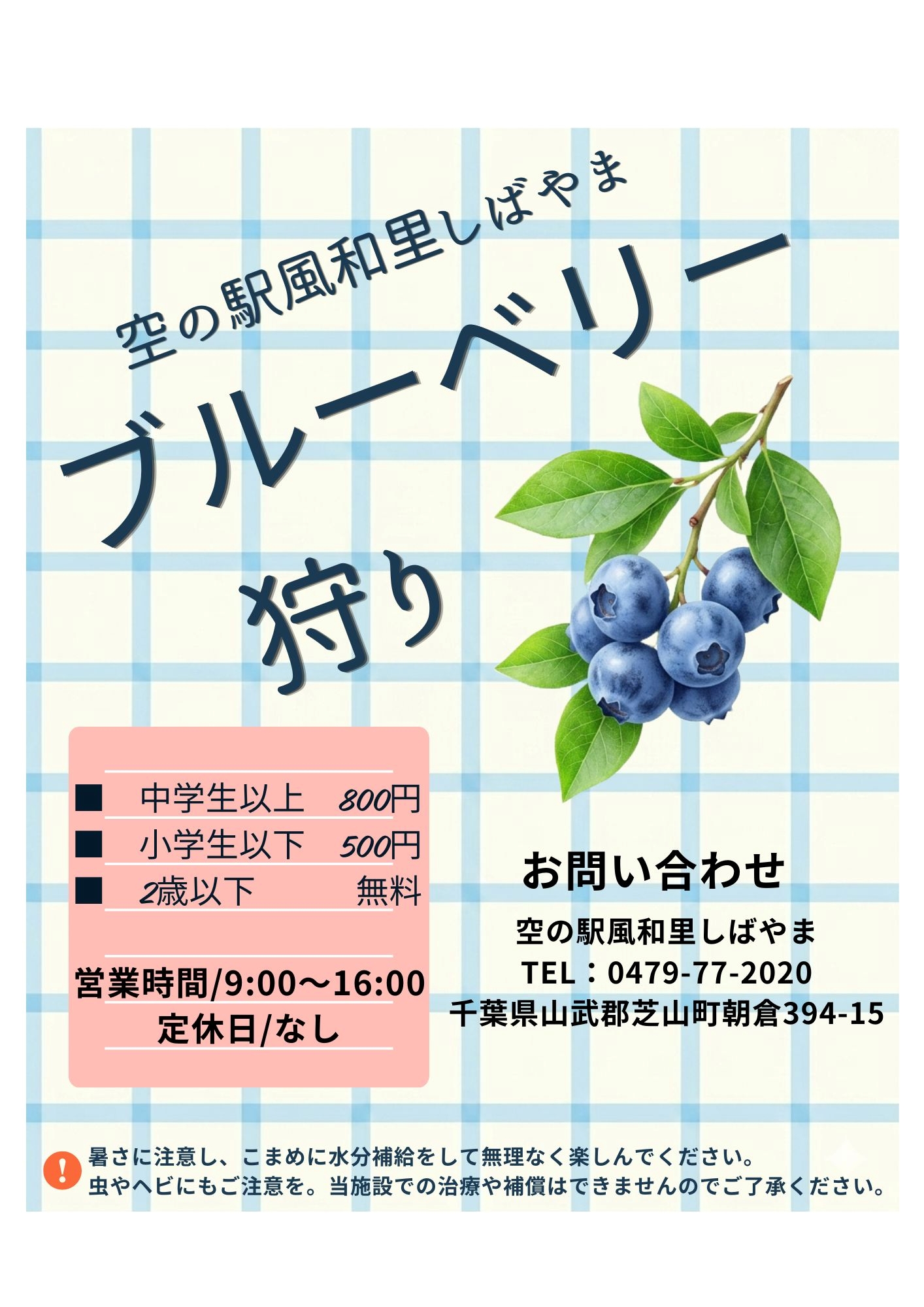 令和８年度ブルーベリー狩り